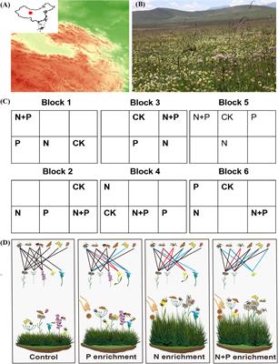 The effects of changes in flowering plant composition caused by nitrogen and phosphorus enrichment on plant–pollinator interactions in a Tibetan alpine grassland